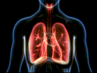 respiratory_diagnostic_mobile