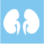 Nephrology